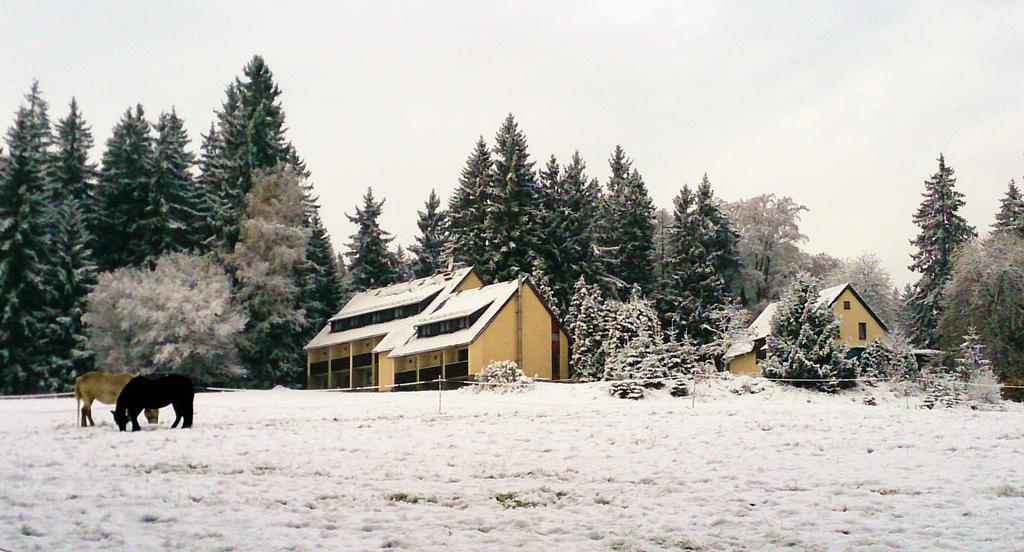 Waldhotel Zoebischhaus Bad Reiboldsgrün Eksteriør billede