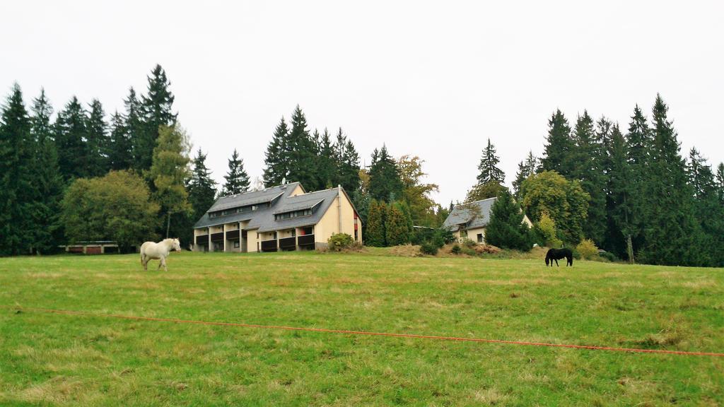 Waldhotel Zoebischhaus Bad Reiboldsgrün Eksteriør billede