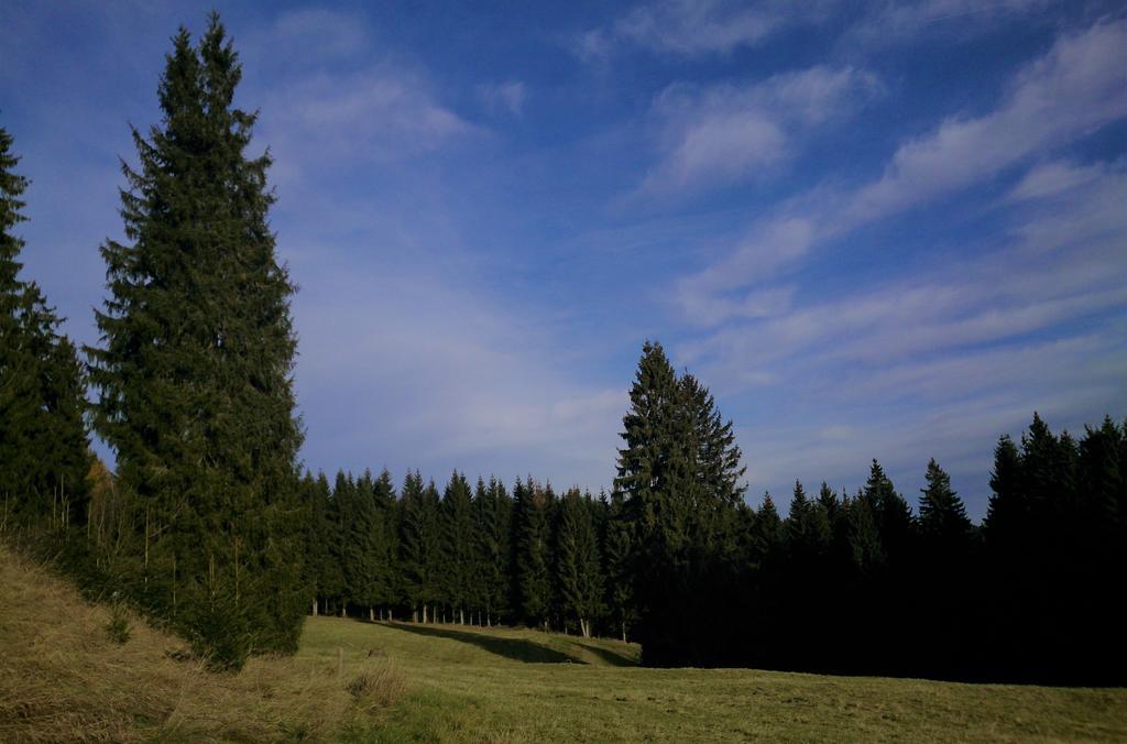 Waldhotel Zoebischhaus Bad Reiboldsgrün Eksteriør billede